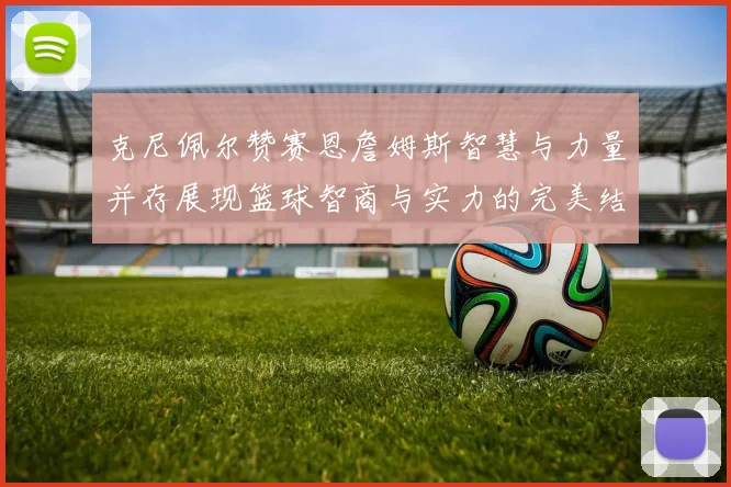 克尼佩尔赞赛恩詹姆斯智慧与力量并存展现篮球智商与实力的完美结合