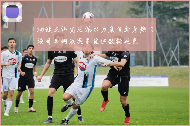 杨健点评克尼佩尔为最佳新秀热门埃奇库姆表现虽佳但数据逊色