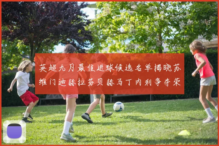 英超九月最佳进球候选名单揭晓苏维门迪赫拉芬贝赫马丁内利争夺荣誉